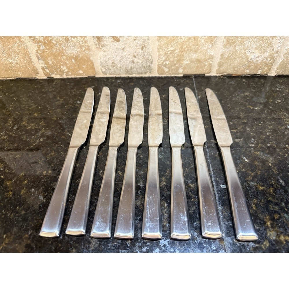 Mikasa Essex Satin Handle Set of 8 Dinner Knives 9 5/8 Dinner Knife